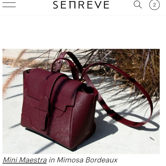 Senreve mini maestra mimosa bag Bordeaux gold hardware brand new with tag - Picture 13 of 13